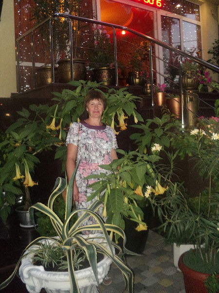 Светлана Ефремова