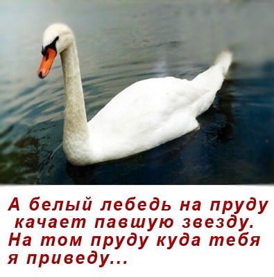 Леша Лебедев