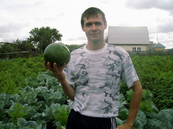 Юрий Сковородкин