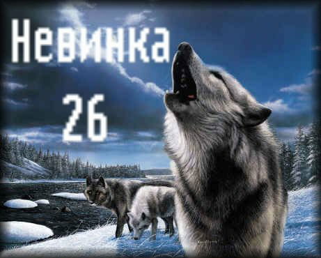 Роман Машевец