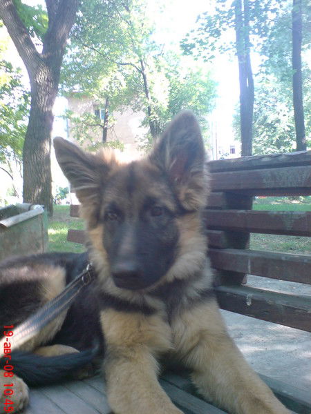 Неизвестно Неизвестно