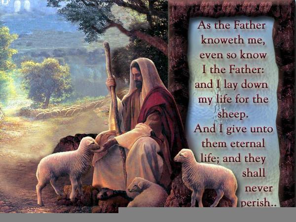 Денис Коротин