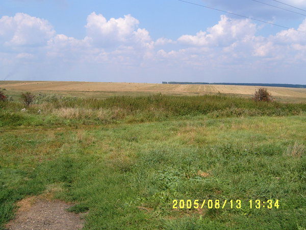 Владимир Кулаков