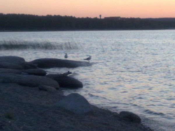 Азиз Шакаров