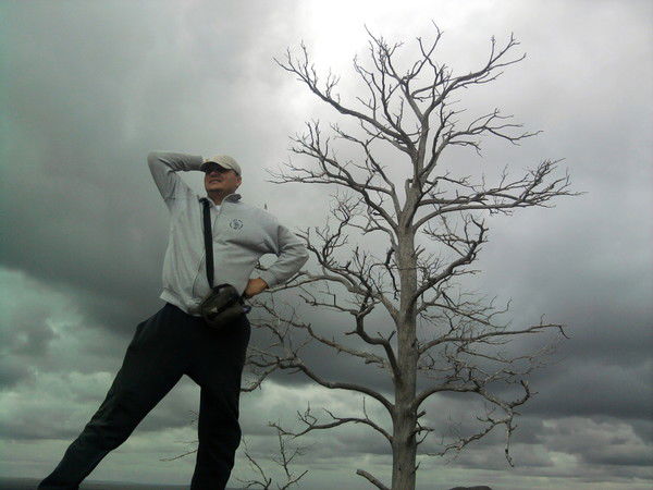 О. Адаменко