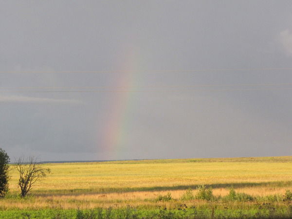 Ирина Кудрявцева