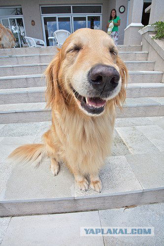 Джамиля Бытдаева