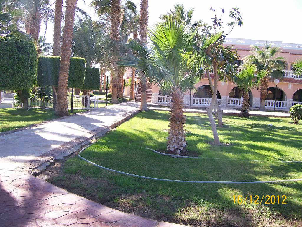 Сергей Васин