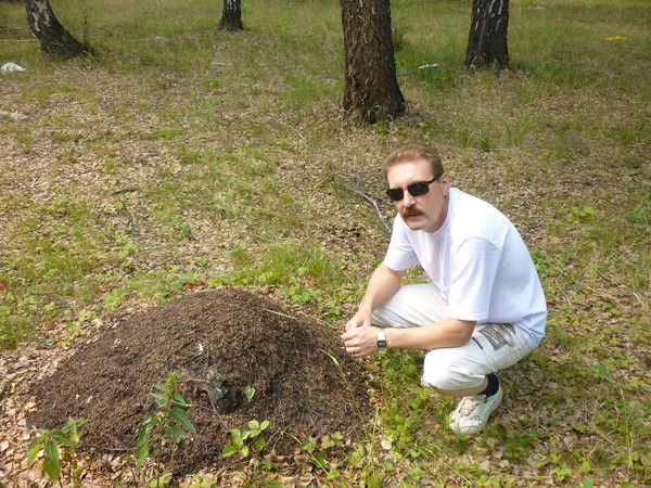 Владимир Гневышев