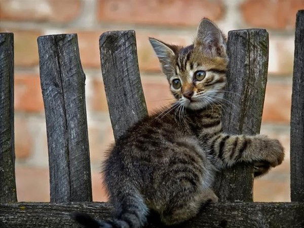 Наталия Попова