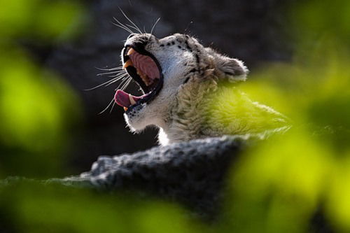 Юрий Кузьменко