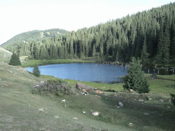 Саодат Рустемова