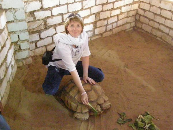 Надежда Бурашникова