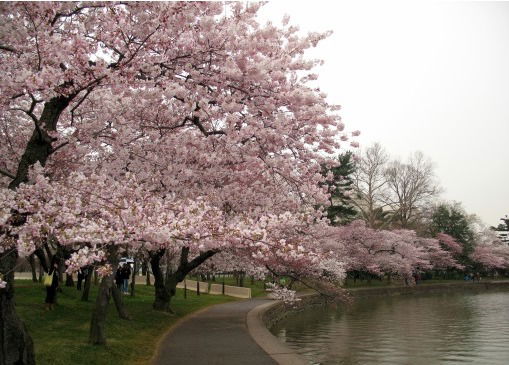 Екатерина Штоколова