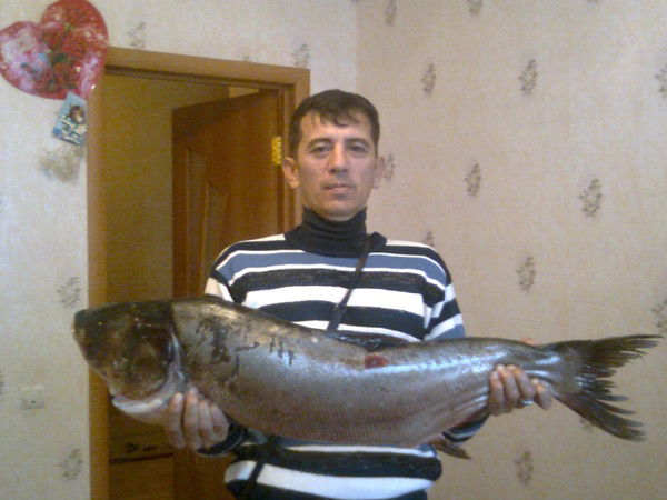 Ергали Асилханов