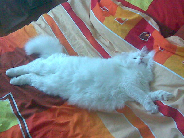 Витя Кундров