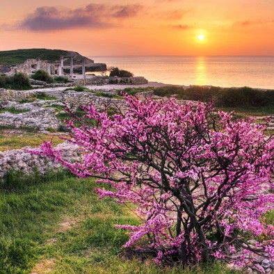 Ольга Шевцова