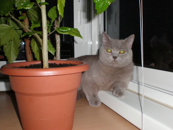 Сергей Костерин