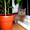 Сергей Костерин