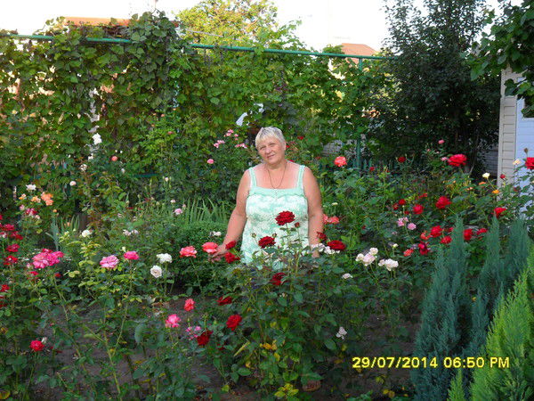 Людмила Рогожа \петренко\