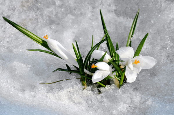 Анара Айсанакызы