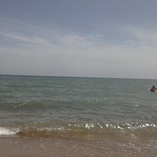 Ольга Полойко