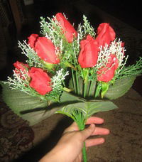 Владислава Игнатьева