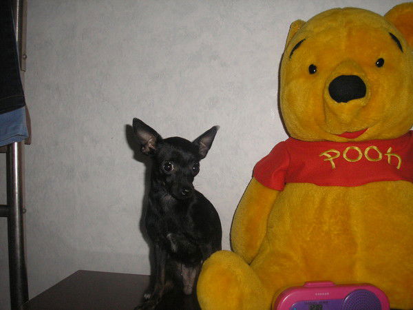 Алена Мостовщикова