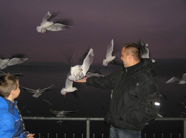 Игорь Голиков