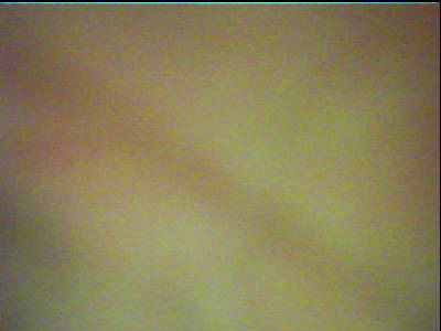 Анатолій Ліфенко