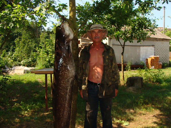 Владимир Юденко