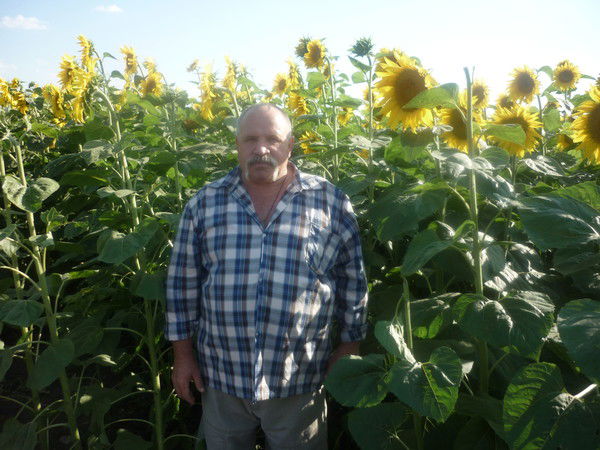 Анатолий Волков