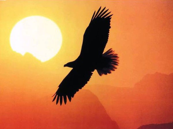 Канат Танирберген