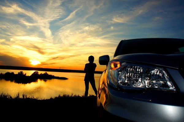 Светлана Никитина