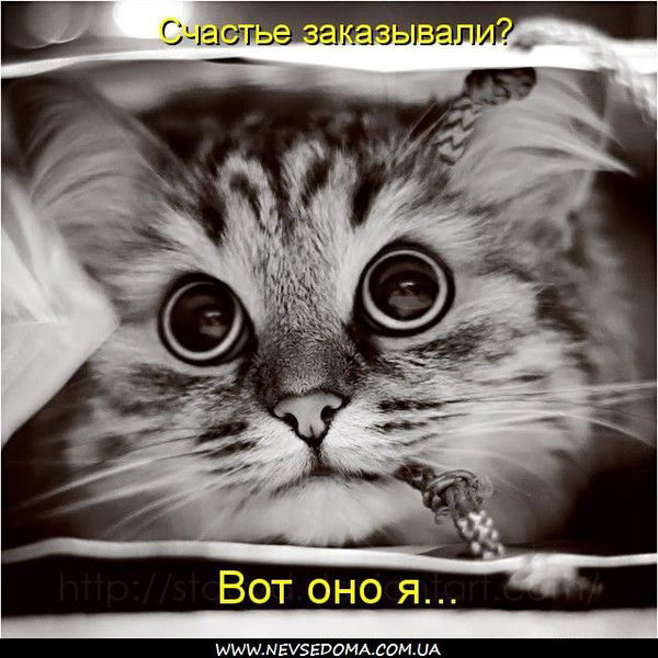 Алина Окунева