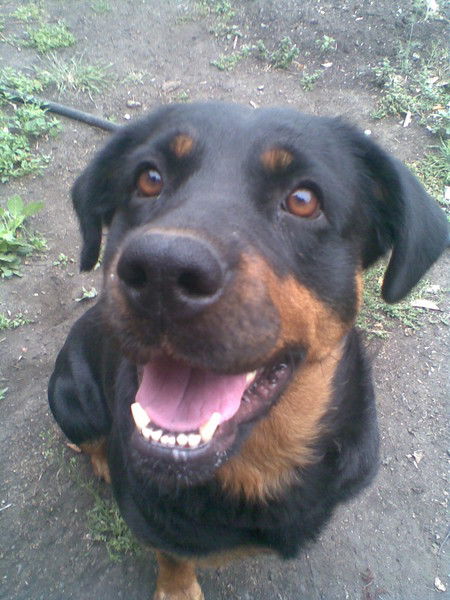 Егор Мухортиков