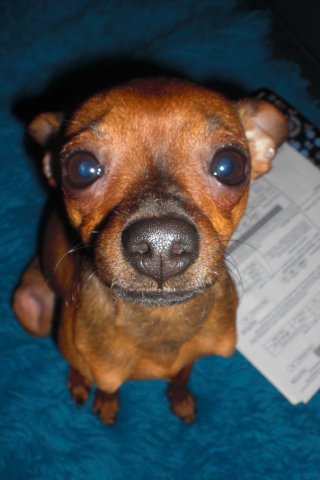 Сергей Пулькин