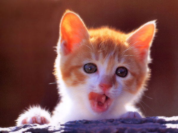 Ирина Бабылина