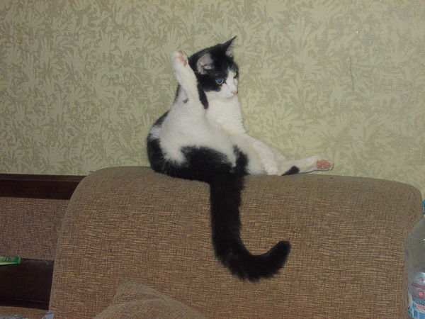 Екатерина Дёмина