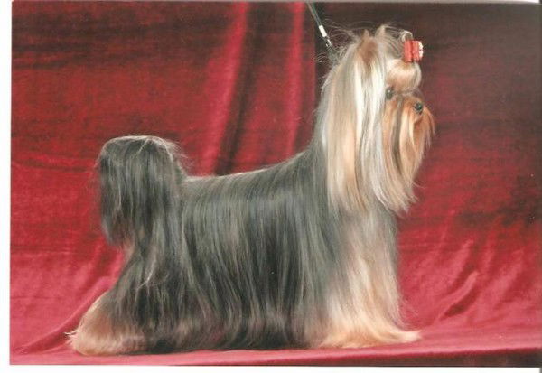 Ярослава Урусова