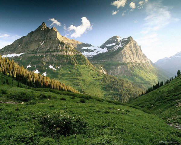 Айбек Алпамышев