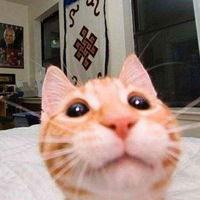 Вадим Никитин