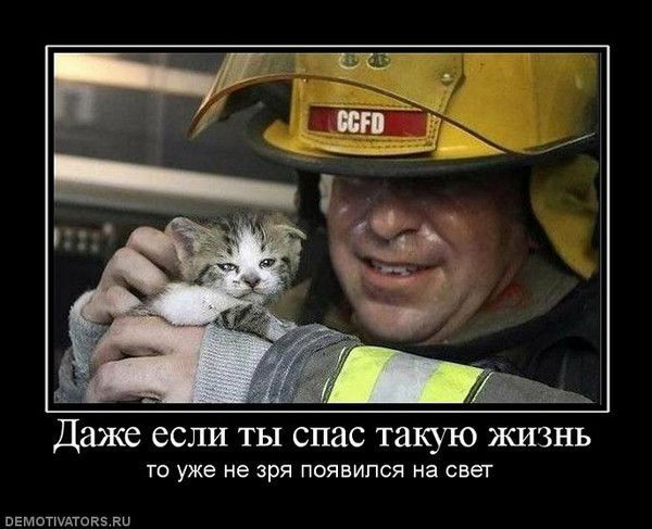 Дидар Мендiгалиулы