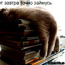 Олег Котов