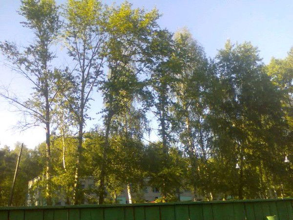 Андрей Воронцов