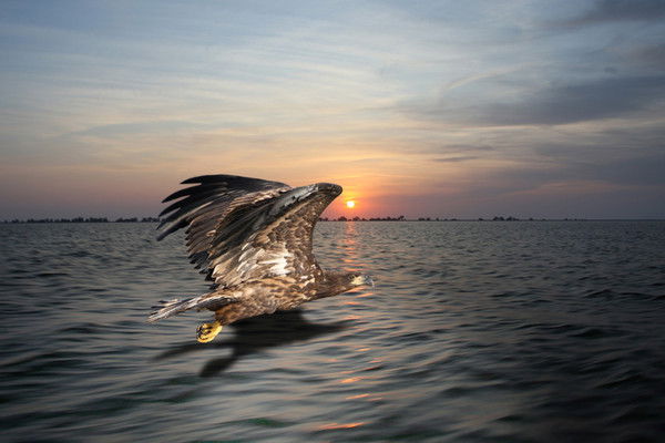 Анна Горняк