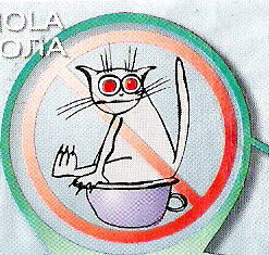 Александра Бондаренко