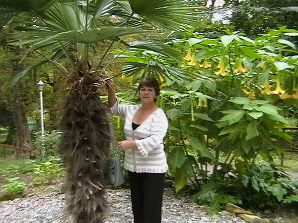 Надежда Козлова