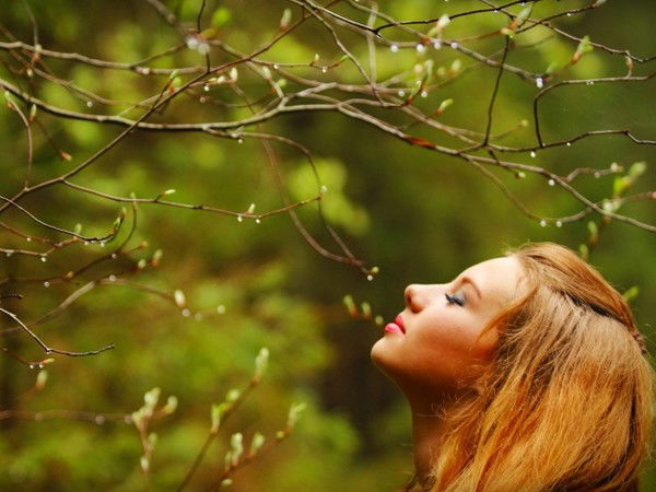 Иришика Шика