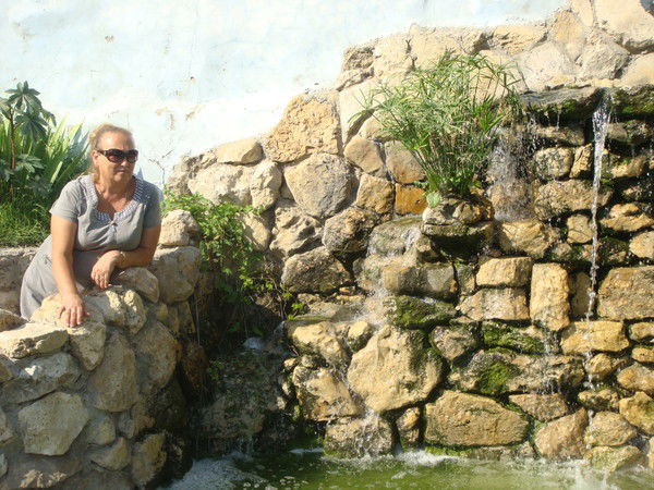 Галина Огородник(Войчишина)